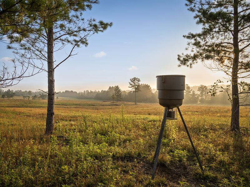 Acreage Dreams Can Come True : Georgetown : Meigs County : Tennessee