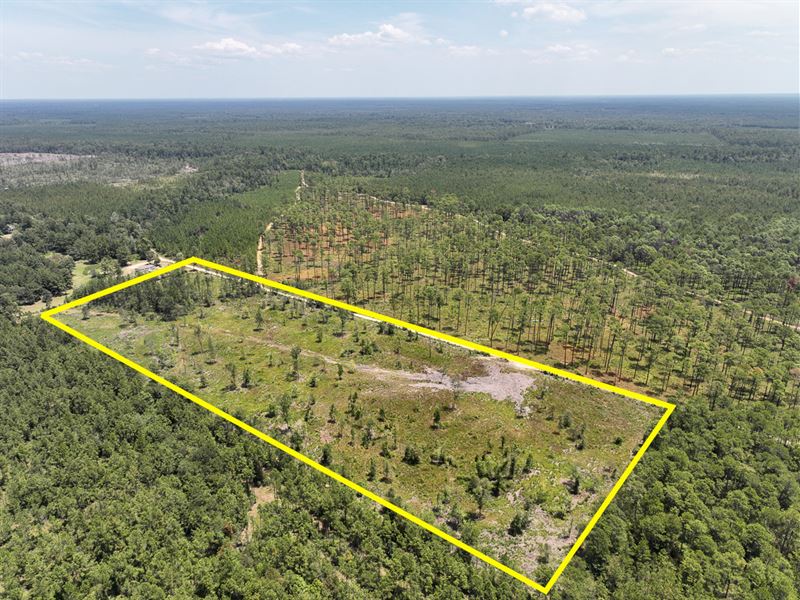 20 Acres, Private Road 7129 : Trout Creek : Newton County : Texas