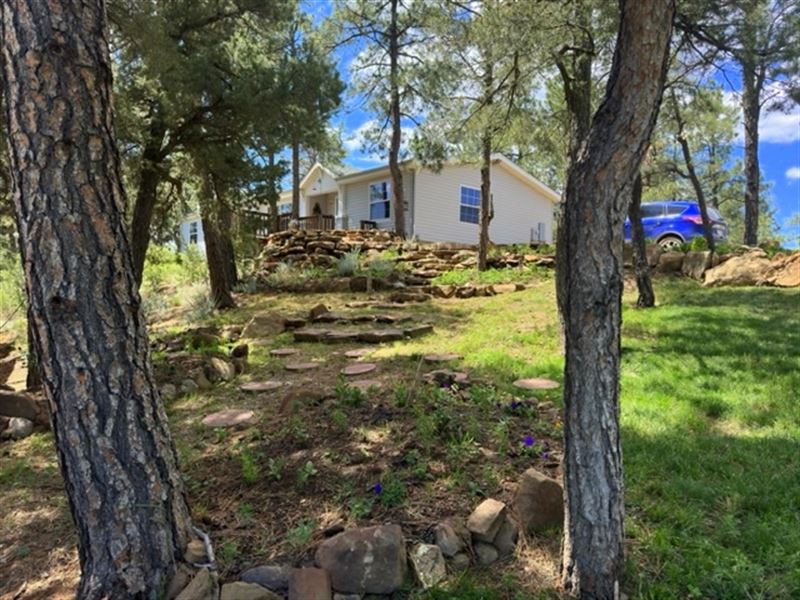 Gem of The Mountain : Weston : Las Animas County : Colorado