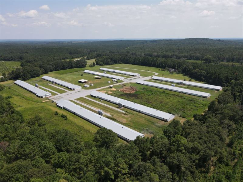 Sundowner Broiler Farm : Eufaula : Russell County : Alabama