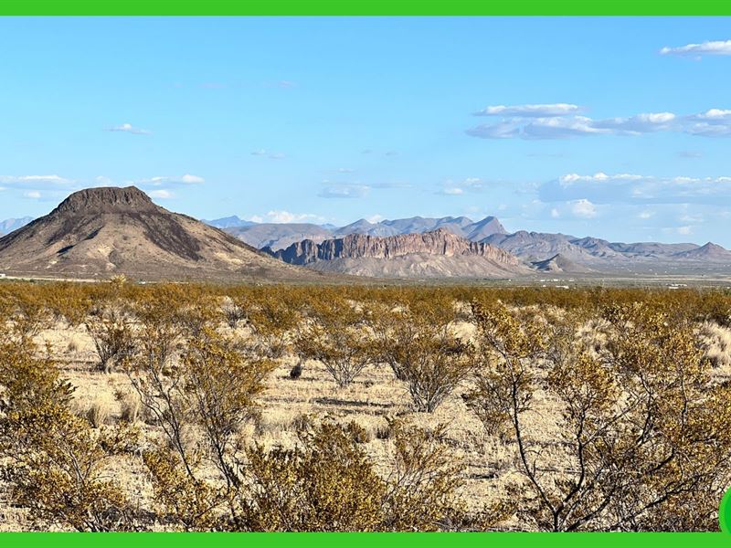 40 Acres in Brewster County, TX : Terlingua : Brewster County : Texas