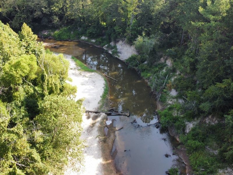 100.68 Acres in Rankin County, MS : Mendenhall : Rankin County : Mississippi