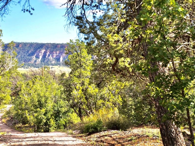 5.34 Acres Outside Ramah, NM : Ramah : McKinley County : New Mexico