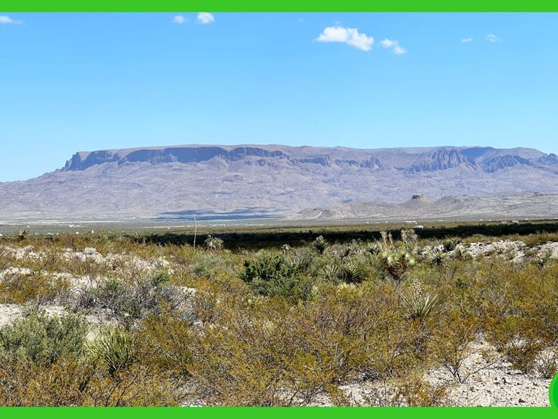 20 Acres in Brewster County, TX : Terlingua : Brewster County : Texas