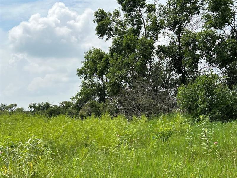 19.92 Acres in Neligh, Nebraska : Neligh : Antelope County : Nebraska