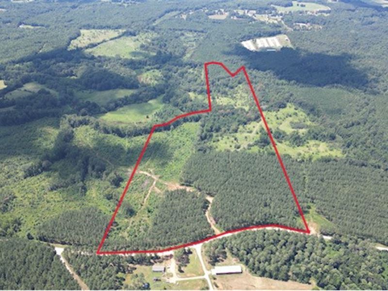 60 Acres Pasture, Timber & Creek : Dewy Rose : Elbert County : Georgia