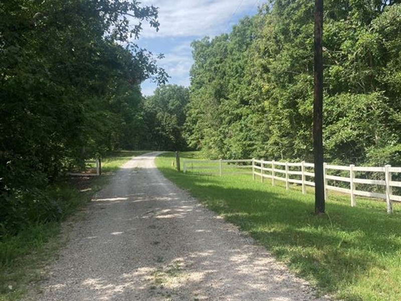 Timber Investment, Great Hunting, Farm for Sale in Tennessee, 355886