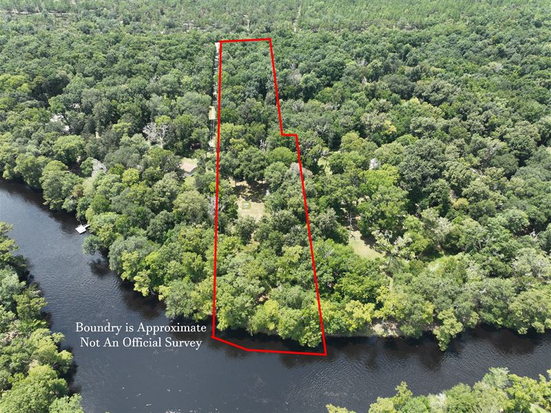 Overlooking The Santa Fe River : Branford : Gilchrist County : Florida