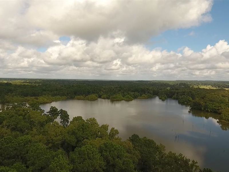 279 Ac Waterfront, Trinity County : Trinity : Trinity County : Texas