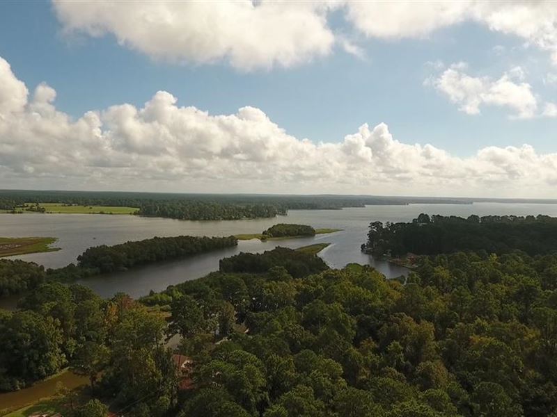 119 Acres White Rock City Rd : Trinity : Trinity County : Texas