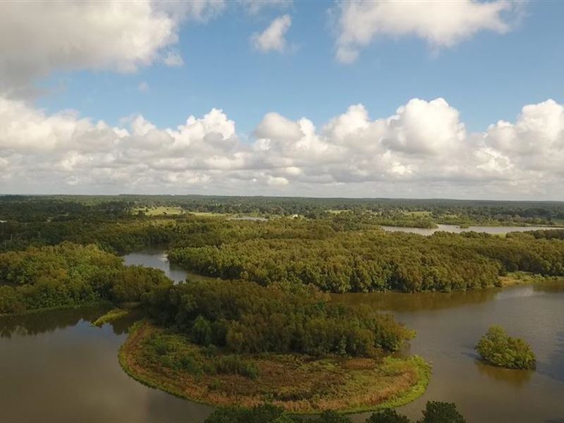 117 Ac Waterfront, Trinity County : Trinity : Trinity County : Texas