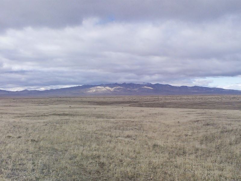 Escape to Your Own Desert Oasis : Mill City : Pershing County : Nevada