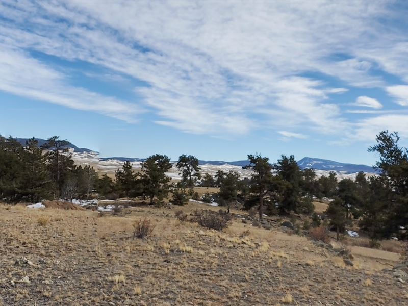 You Can Bring Your Motor Camper : Hartsel : Park County : Colorado