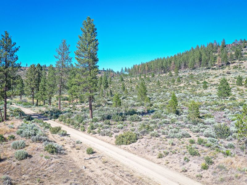 Two Adjoining Raw Land Lots : Sprague River : Klamath County : Oregon