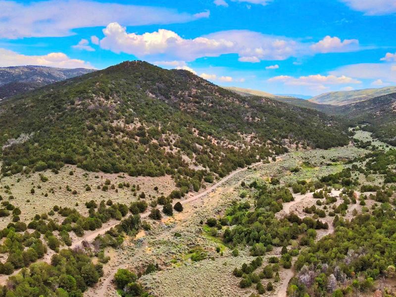 640 Acres, Access, Borders Blm Land : Beaver : Iron County : Utah