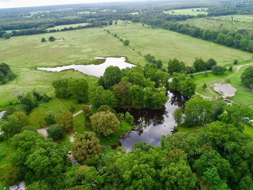 Detroit Ranch : Detroit : Red River County : Texas