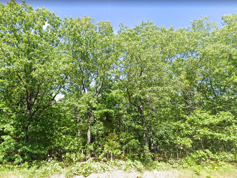 Tranquil, Countryside Acreage : Raymondville : Texas County : Missouri