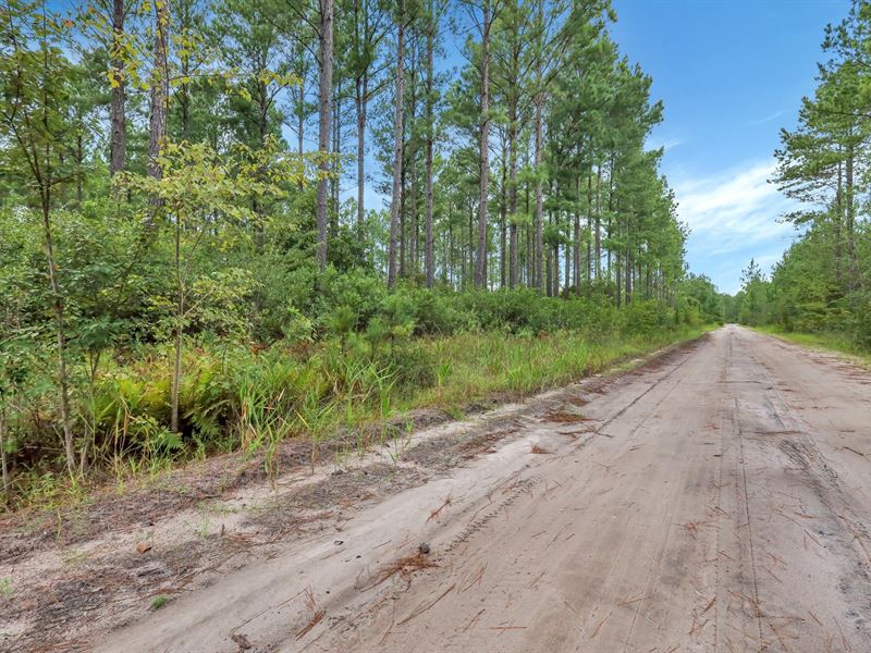 15 Acre, Old Hopkins Rd : Waycross : Ware County : Georgia