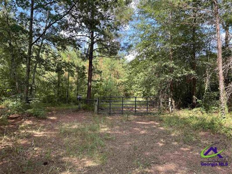 Prime Land Tract in Pulaski County : Hawkinsville : Pulaski County : Georgia