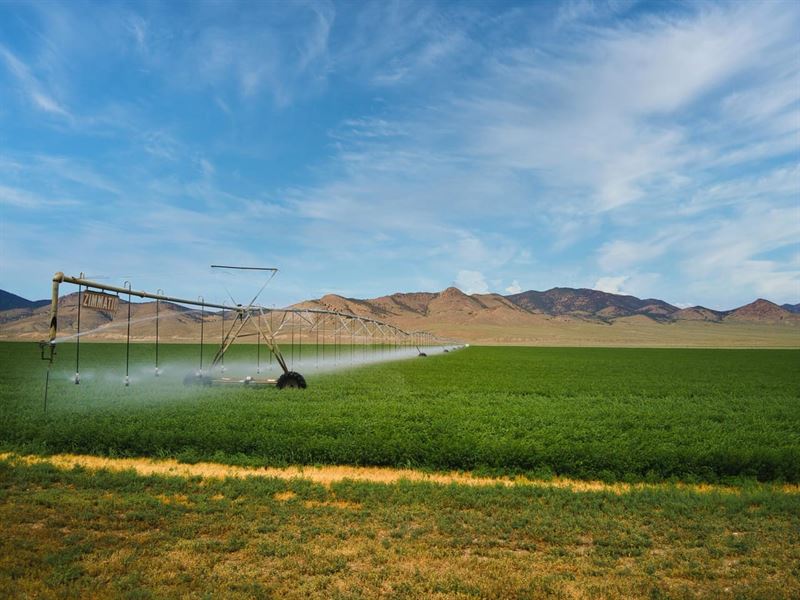 Washington Creek Ranch : Austin : Lander County : Nevada