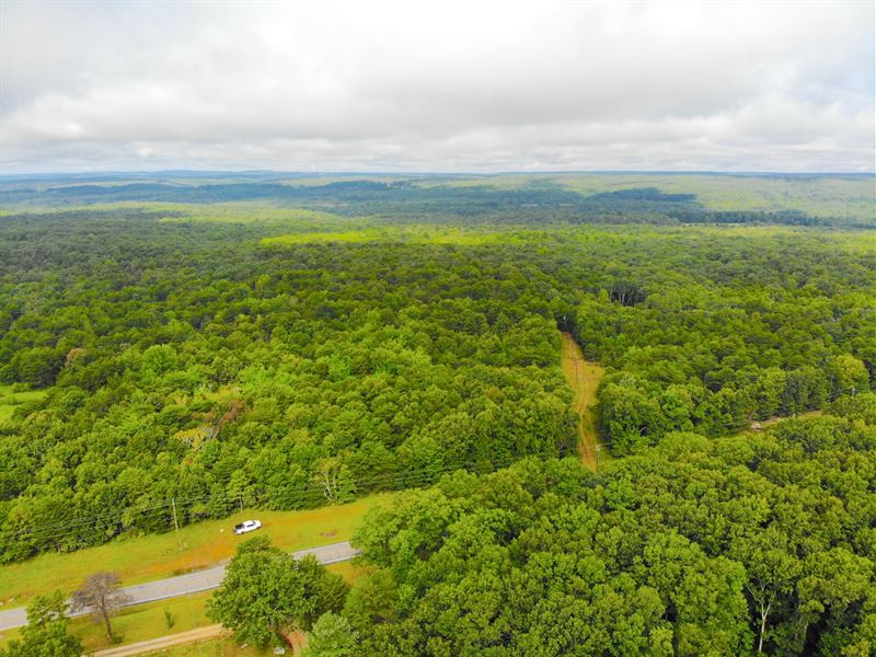 Cloudland, GA 37 Acres : Cloudland : Chattooga County : Georgia