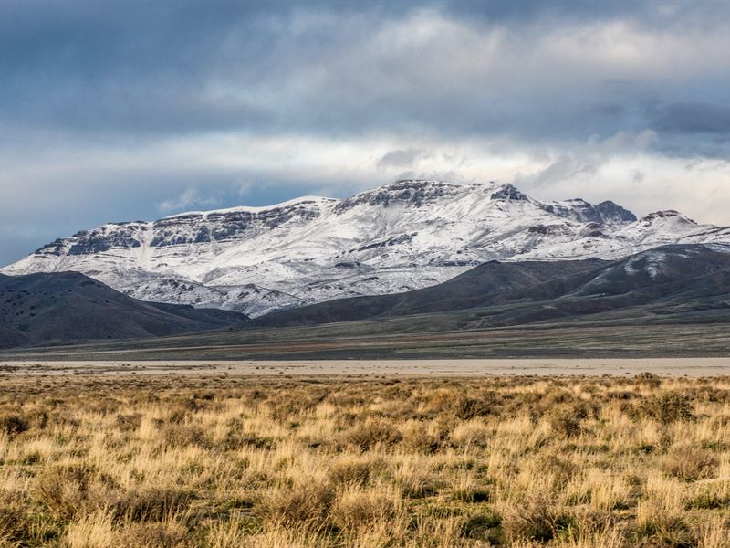 Escape to Your Own Desert Oasis : Lovelock : Pershing County : Nevada