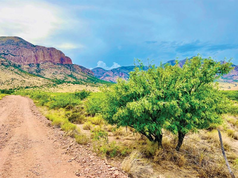 18 Acres, Electric and Mountains : Portal : Cochise County : Arizona