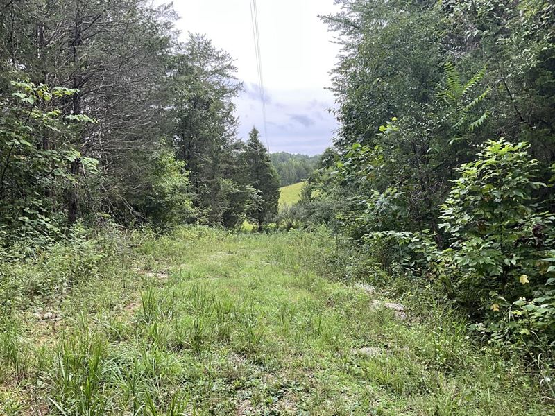 Blue Creek Estates Tract 3 : Somerset : Pulaski County : Kentucky