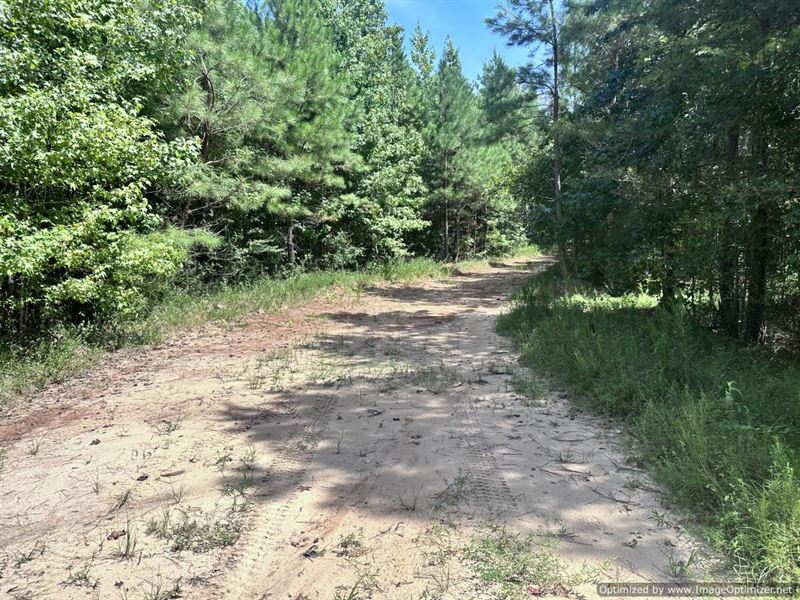 32 AC Hunting Tract, Newton County : Decatur : Newton County : Mississippi