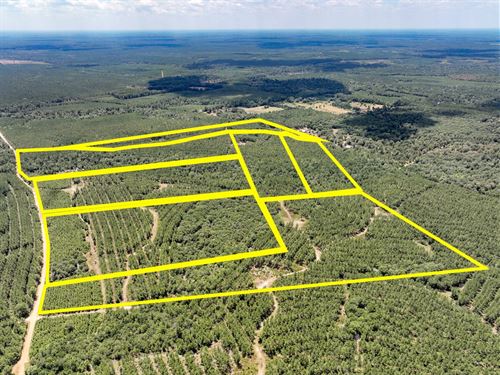 46 Acres, CR 1420 T-7 : Warren : Tyler County : Texas