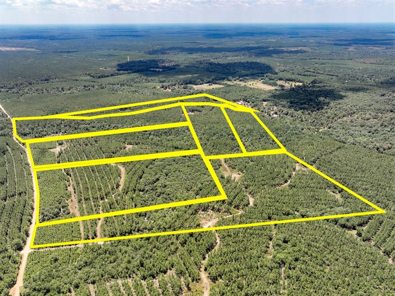 21 Acres, CR 1420 T-11 : Warren : Tyler County : Texas
