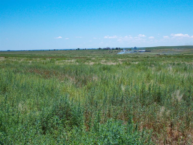 Doolin Farm Ground for Sale : Boone : Pueblo County : Colorado