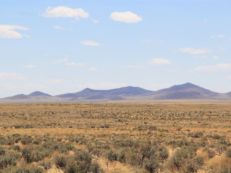 Desert Dreams in Costilla County : Blanca : Costilla County : Colorado