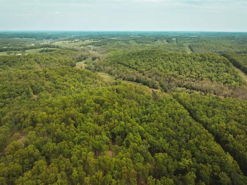 Elk Creek Acres-Tract 4 : Elk Creek : Texas County : Missouri