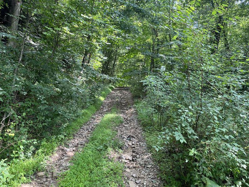 1253 Shawna Road Cherry Tree : Cherry Tree : Cambria County : Pennsylvania