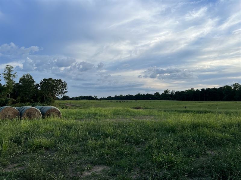Clanton 114 : Clanton : Chilton County : Alabama