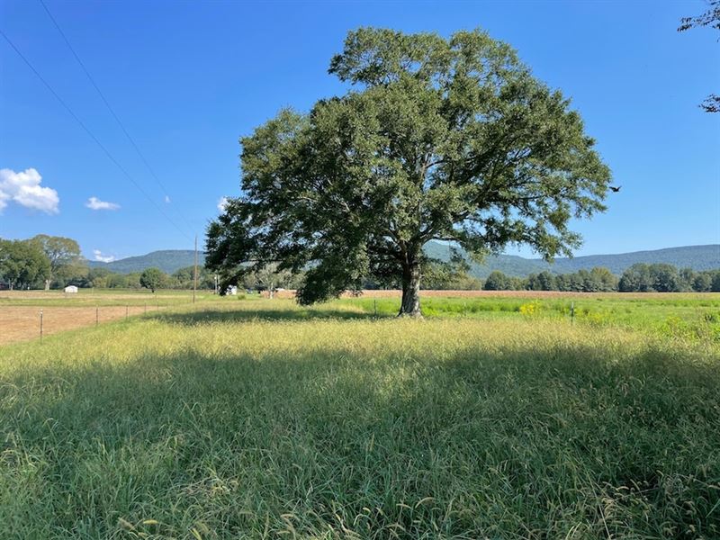 Fackler 112 : Scottsboro : Jackson County : Alabama