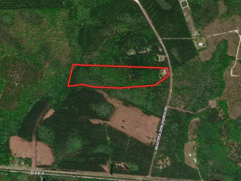 Acreage for Sale in Pembroke, GA : Pembroke : Bryan County : Georgia