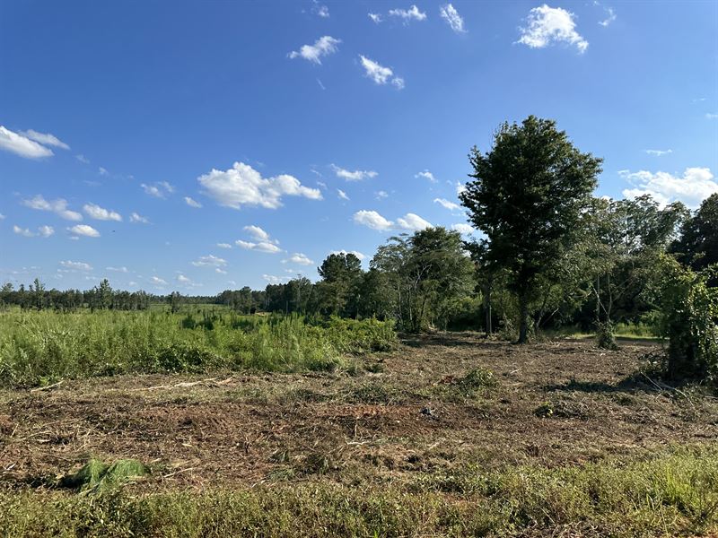 Hollinger Road Lots, Farm for Sale in Alabama, 356607 FARMFLIP