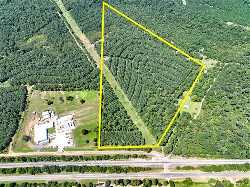 90 Acres, County Road 9070 T-3 : Avinger : Marion County : Texas