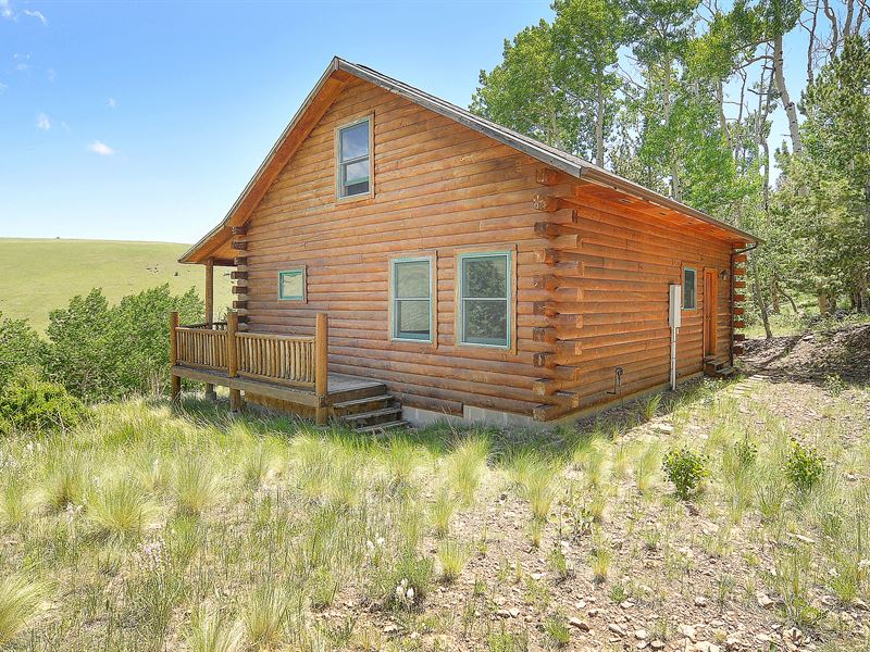 Log Cabin on 119+ Acres : Cotopaxi : Fremont County : Colorado