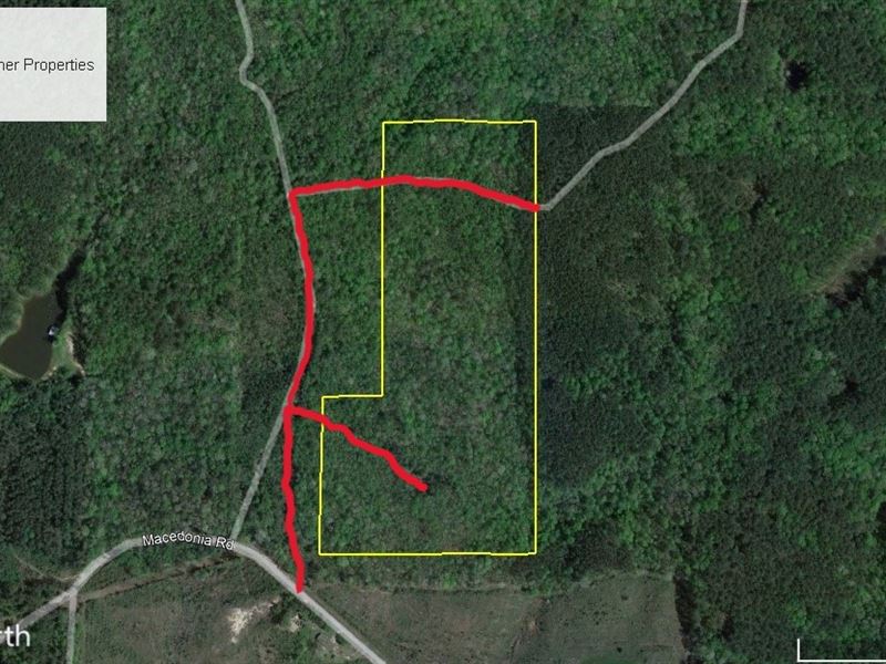 32 Acres in Newton County, MS : Decatur : Newton County : Mississippi