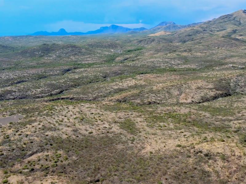 80 Ac Mtn Views, Backups Accepted : Douglas : Cochise County : Arizona