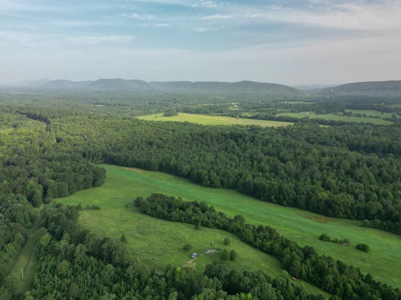 Mill Creek At Burnham Mountain : Glenwood : Pike County : Arkansas