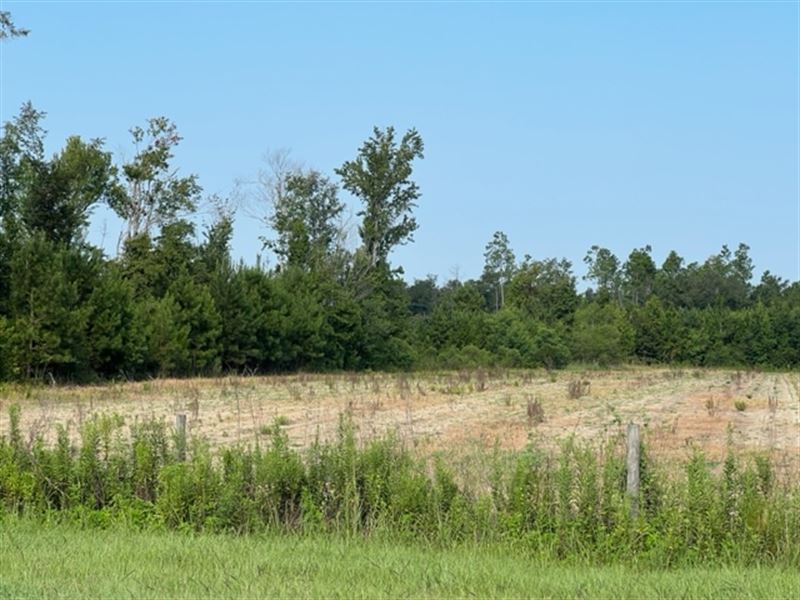Quiet Country Land : Marianna : Jackson County : Florida