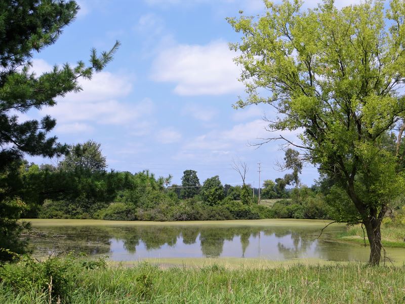 39 Acres Manchester Land for Sale, Farm for Sale in Michigan, 356739