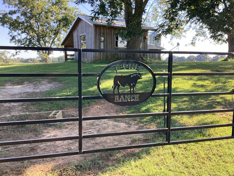 Bagents Ivy Creek Rd Cattle Farm : Rutledge : Crenshaw County : Alabama