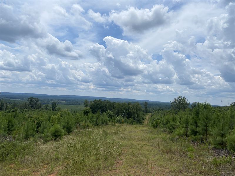 Scenic Heights Tract : Manchester : Talbot County : Georgia