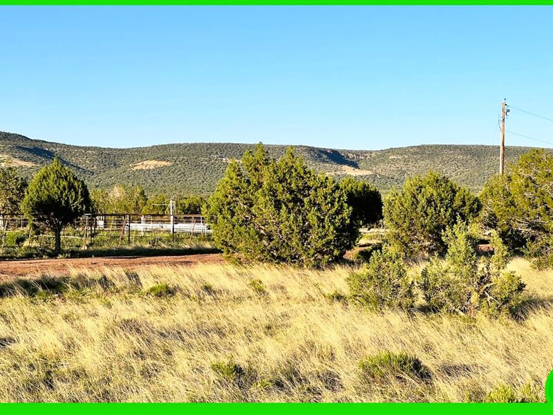 27.29 Acres Of Gorgeous Land : Williams : Coconino County : Arizona