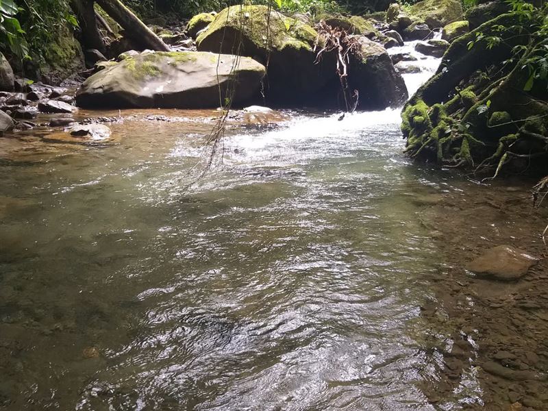 Off Grid Wild Adventure : La Victoria Pejibaye : Costa Rica